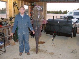 picture of the largest flathead catfish ever caught