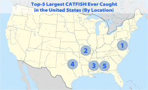 map of the US showing where the 5 biggest catfish were caught