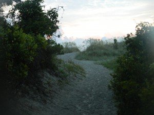 sandy path leading to the beach at Hunting Island, SC