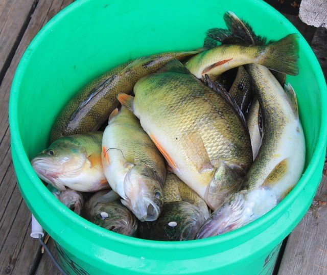 Gift Ideas for People That Love to Fish Boat Lovers Direct